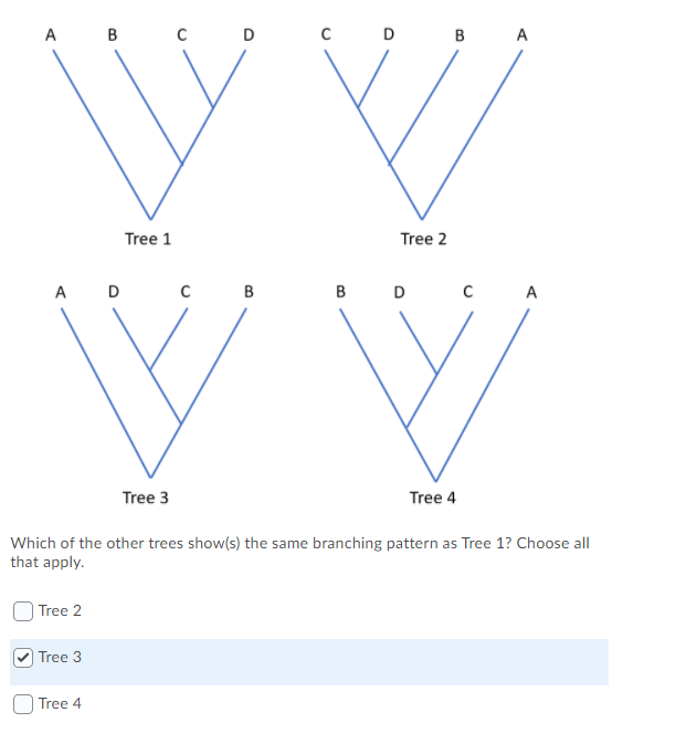 Solved Which of the other trees show(s) the same branching | Chegg.com