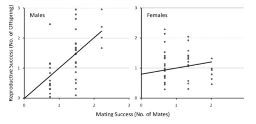 Solved This is a Bateman gradient graph. a. which sex would | Chegg.com