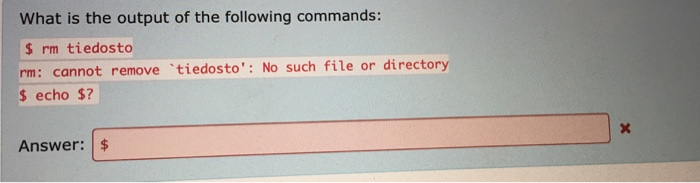 Solved What is the output of the following commands: $ rm | Chegg.com