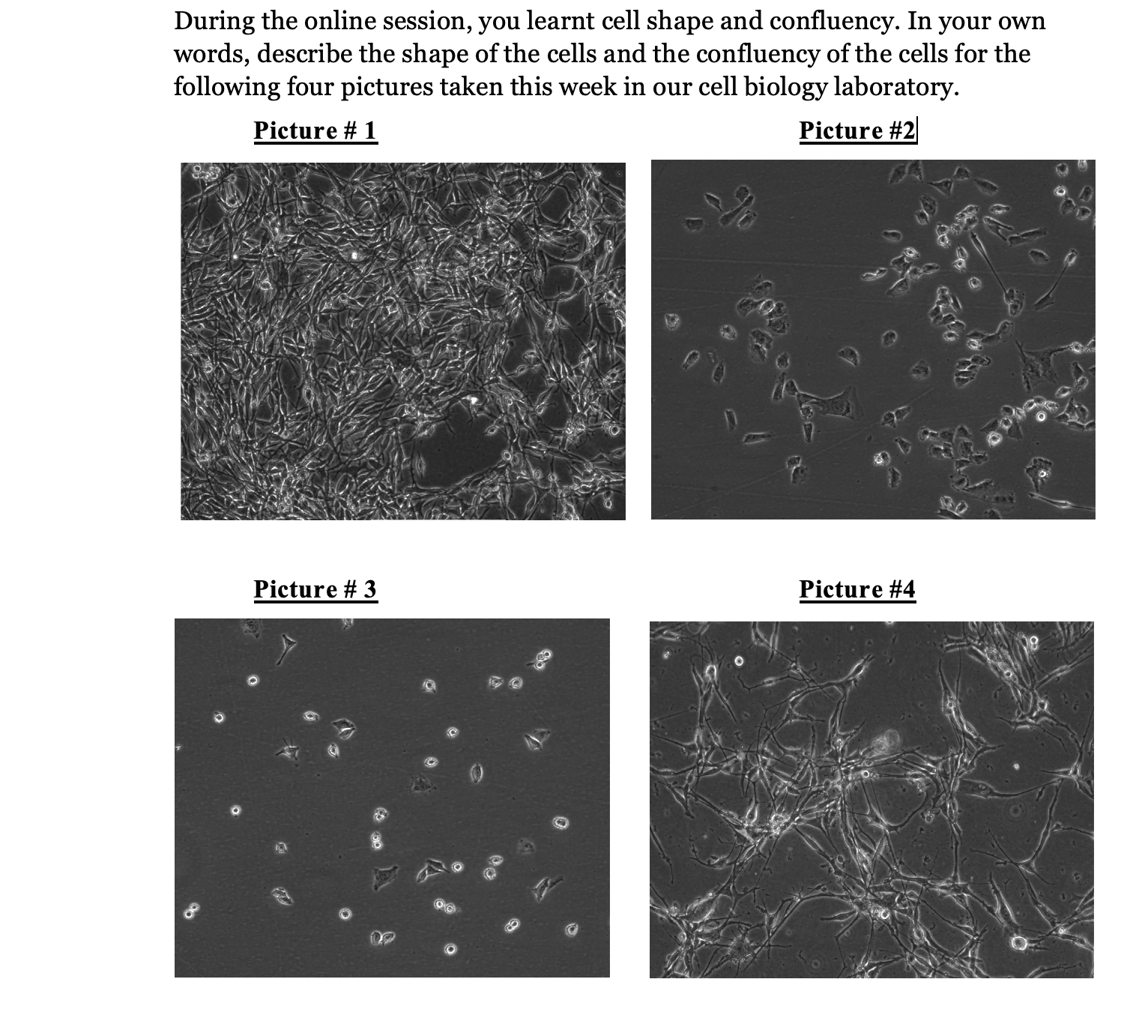 Solved During the online session, you learnt cell shape and | Chegg.com