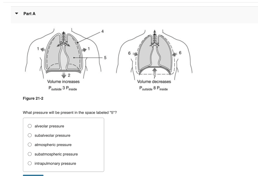 Solved Part A 4 5 Volume increases Poutside 3 Pinside Volume | Chegg.com