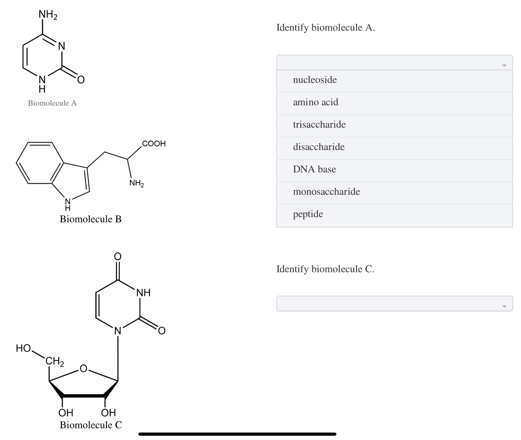 Solved Biomolecule D | Chegg.com