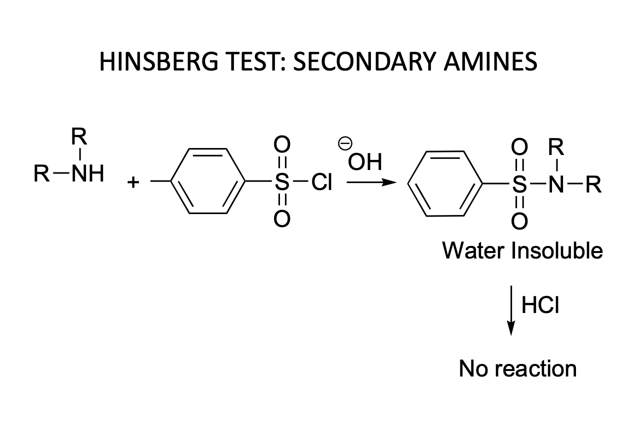 Solved Can Someone Please Explain The Mechanisms For The | Chegg.com