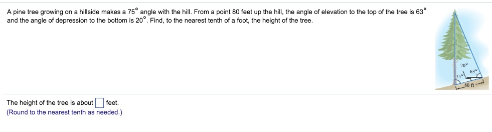 Solved A pine tree growing on a hillside makes a 75° angle | Chegg.com