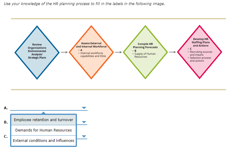 solved-use-your-knowledge-of-the-hr-planning-process-to-fill-chegg