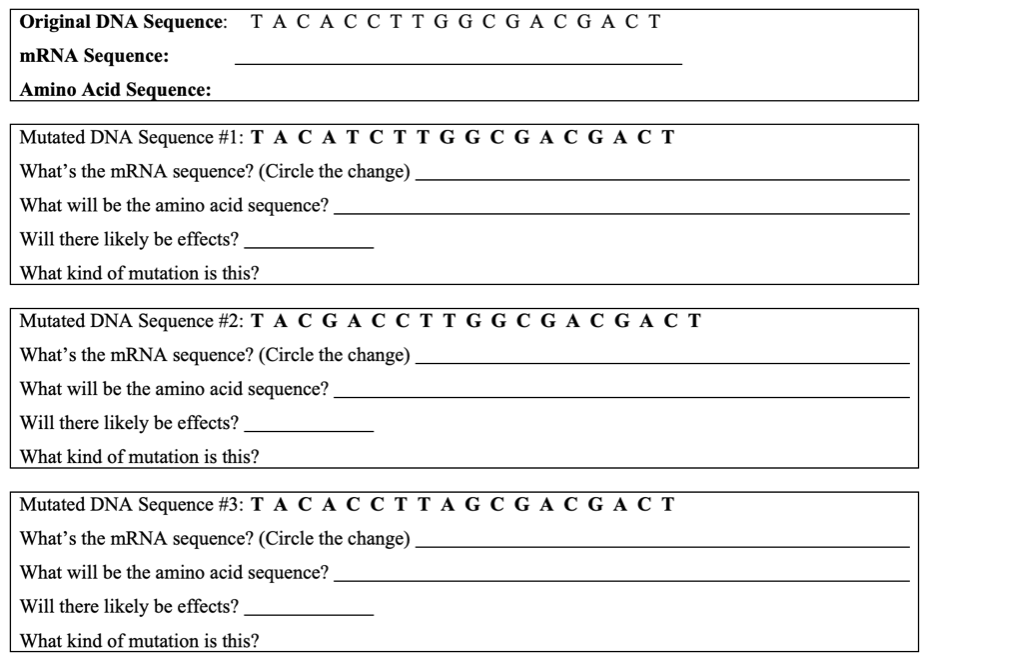 complete the boxes below classify each