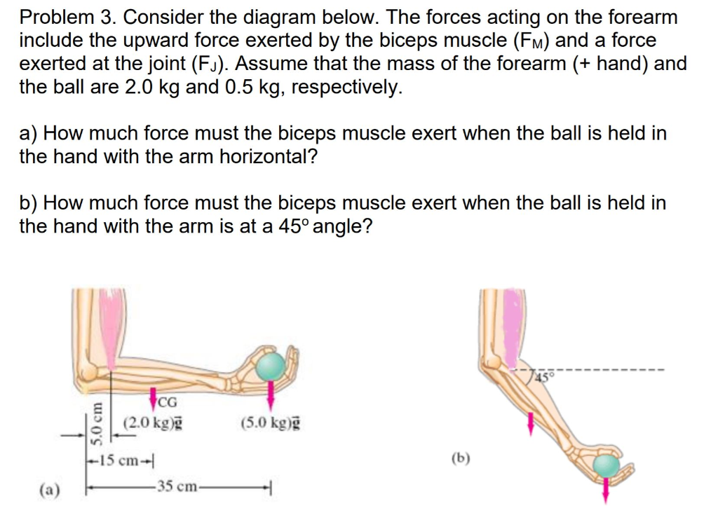 Solved Problem 3. Consider the diagram below. The forces