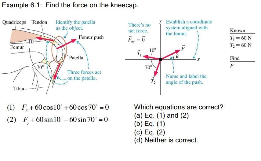 Solved Example 6.1: Find the force on the kneecap. | Chegg.com