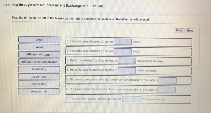 Learning through Art: countercurrent Exchange in a | Chegg.com