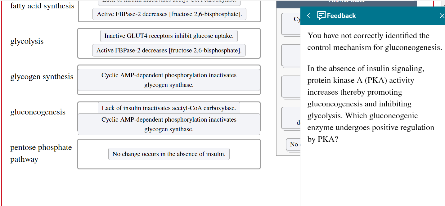 solved-a-man-with-insulin-dependent-diabetes-is-brought-to-chegg