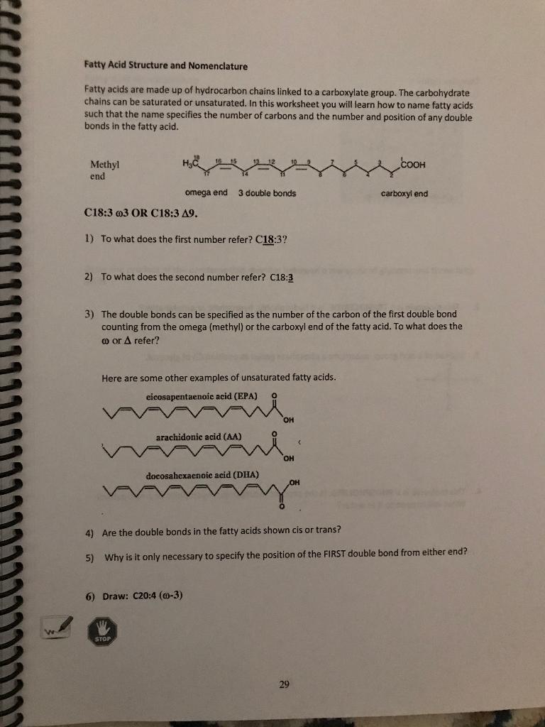 Solved Fatty Acid Structure and Nomenclature Fatty acids are