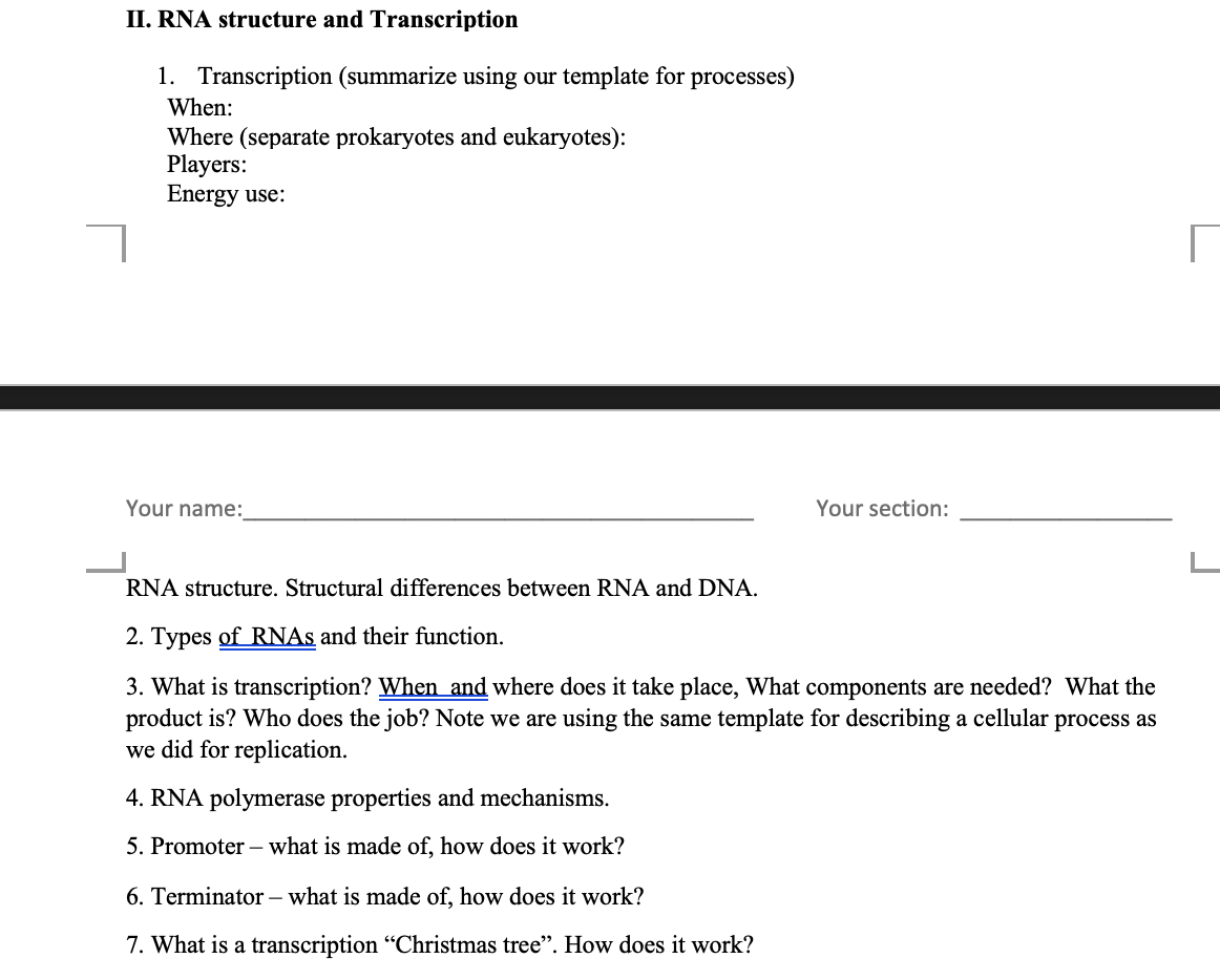 Solved II. RNA structure and Transcription 1. Transcription | Chegg.com