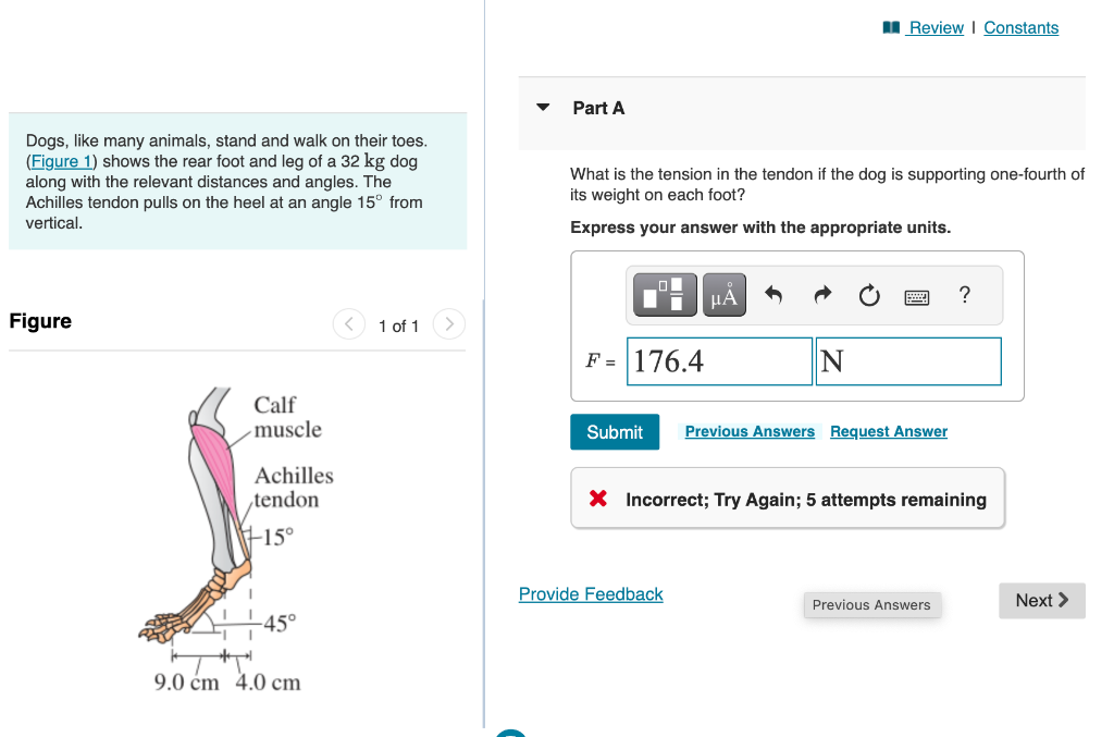 Solved Someone, please help with this physics question. | Chegg.com