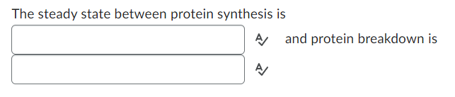 Solved There are four types of proteins. Name the protein | Chegg.com