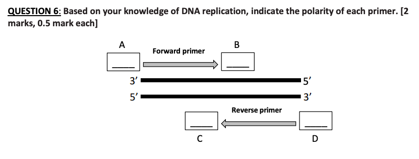 Solved QUESTION 6: Based on your knowledge of DNA | Chegg.com