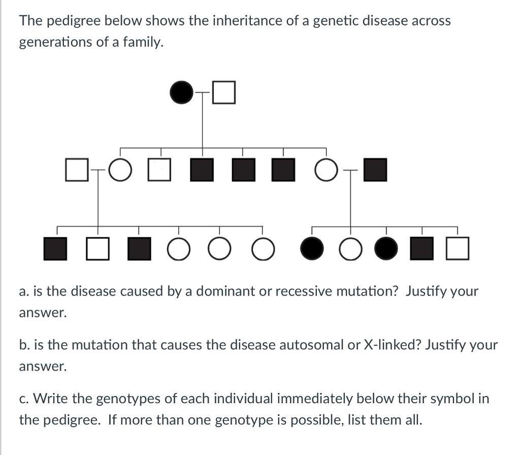 x-linked-dominant-disorders-list-cloudshareinfo