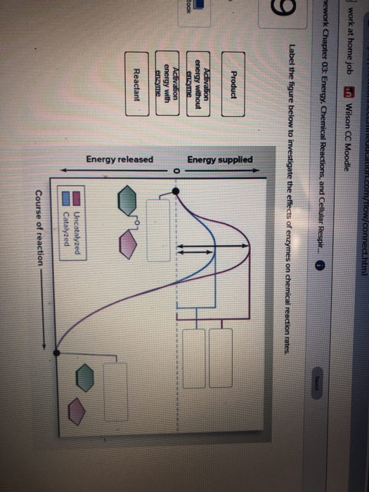Solved Energy released Energy supplied
