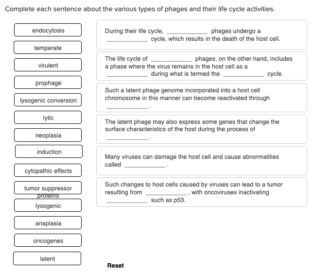 Solved Complete Each Sentence About The Various Types Of 