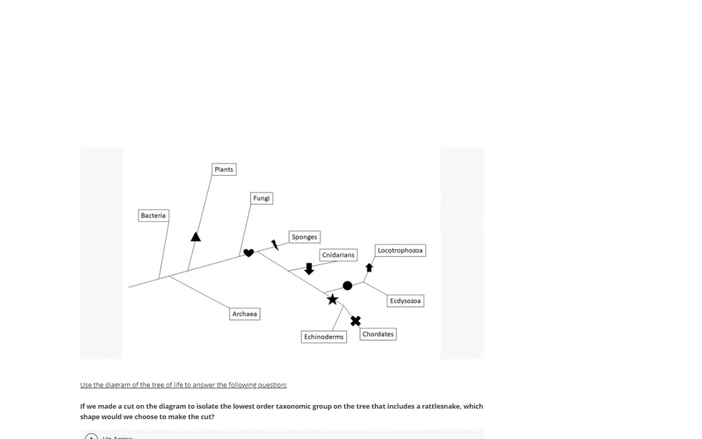 Solved Use the diagram of the tree of life to answer the | Chegg.com