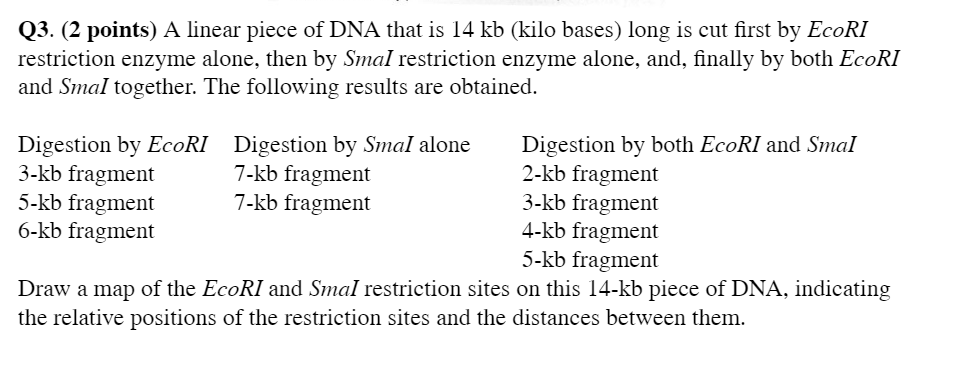 Solved Q3. (2 points) A linear piece of DNA that is 14 kb | Chegg.com