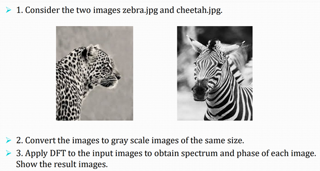 1. Consider the two images zebra.jpg and | Chegg.com
