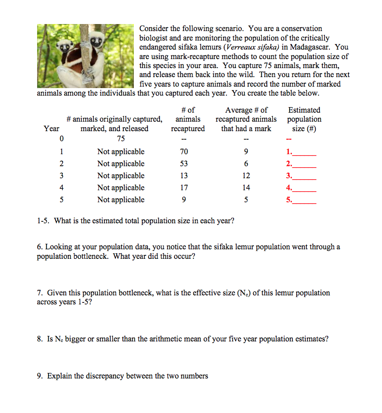 Solved Equations for effective population size 4N N t 3. 2.