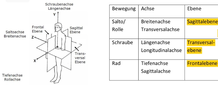 Sul2 Biomechanische Grundlagen Und Methoden 1 Flashcards Chegg Com