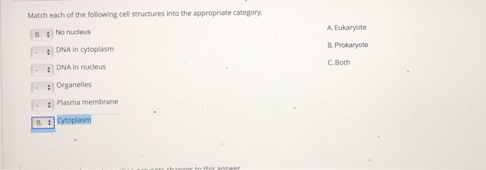 Solved Match each of the following cell structures into the | Chegg.com