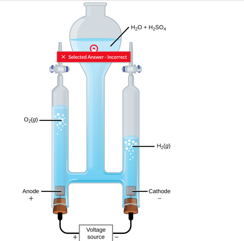 Solved a) b) 1. Tap on the place where the reduction happens | Chegg.com