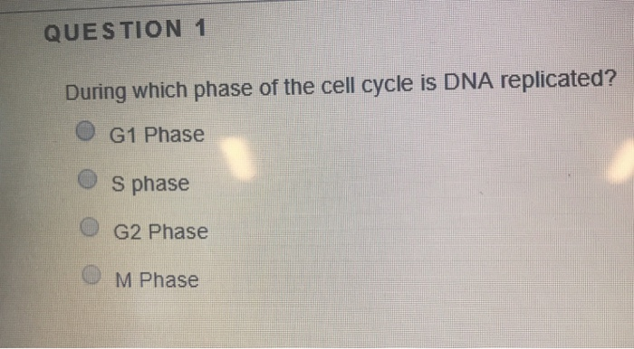 Solved QUESTION 1 During which phase of the cell cycle is | Chegg.com