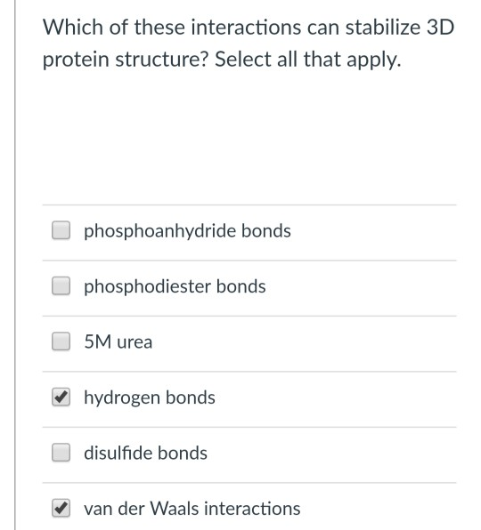 Solved Which Of These Interactions Can Stabilize 3D Protein | Chegg.com