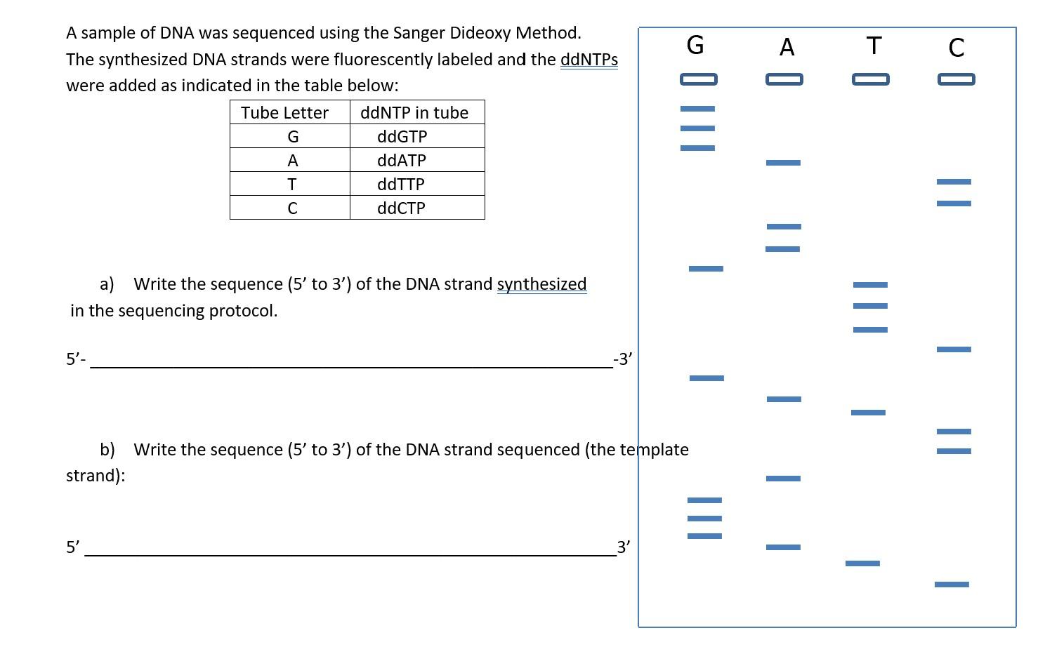 Solved A sample of DNA was sequenced using the Sanger | Chegg.com