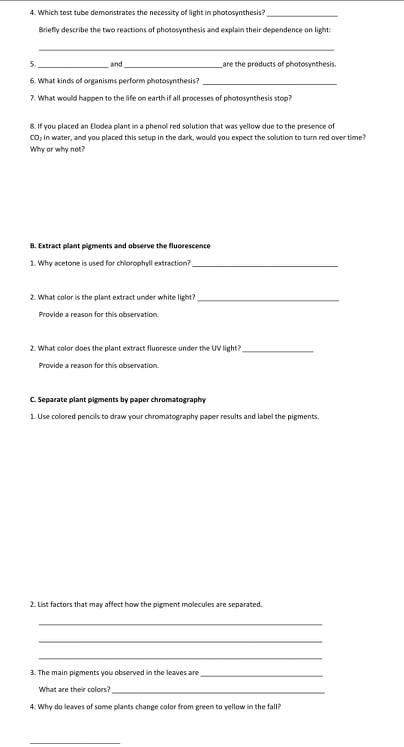 Solved 4. Which test tube demonstrates the necessity of | Chegg.com