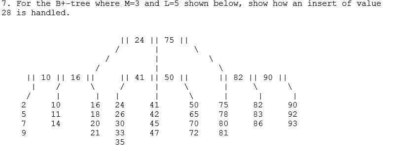 Solved 7 For The B Tree Where M 3 And L 5 Shown Below Chegg Com
