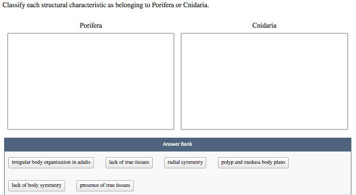 Solved Classify each structural characteristic as belonging | Chegg.com