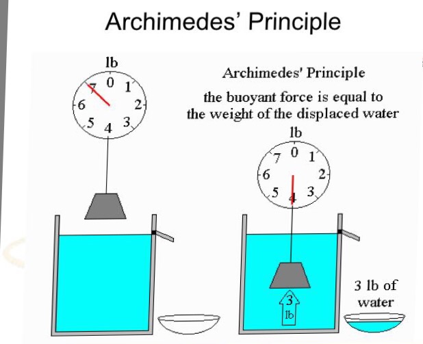 Solved Archimedes' Principle lb 0 Archimedes' Principle the | Chegg.com