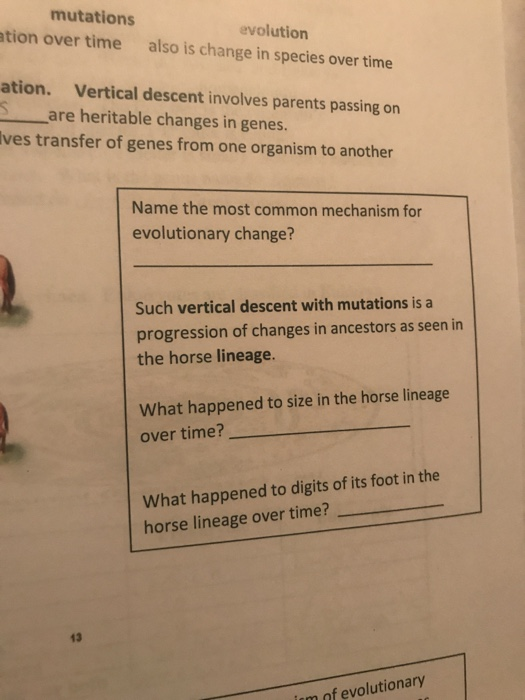 Solved Mutations Evolution Also Is Change In Species Over Chegg Solved Mutations Evolution Also Is Change In Species Over Chegg