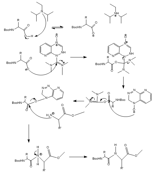 Solved I made the reaction mechanisme shown below and got | Chegg.com