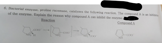 Solved Part Aalthough We Will Not Encounter Protein Chegg Com