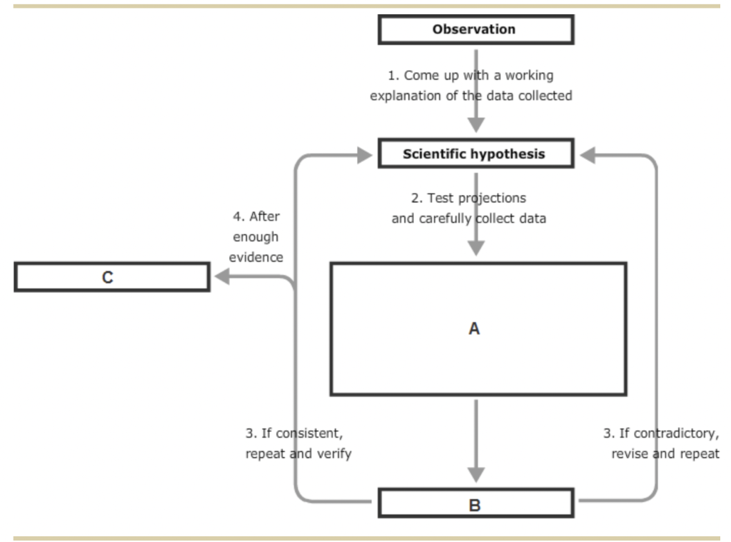 scientific method flow chart answers