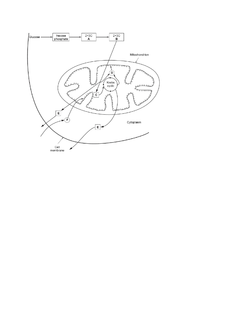 Solved Figure 2.1 represents an overview of the main steps | Chegg.com