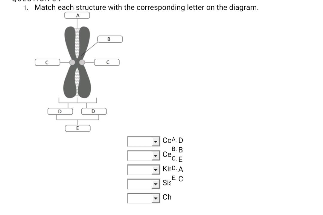 Diagram Structure D Corresponds What Is Data Structures