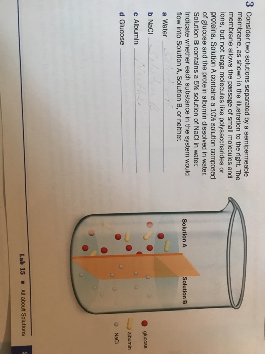 Solved Consider Two Solutions Separated By A Semipermeable | Chegg.com