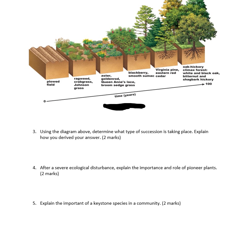 Solved 3. Using the diagram above, determine what type of | Chegg.com
