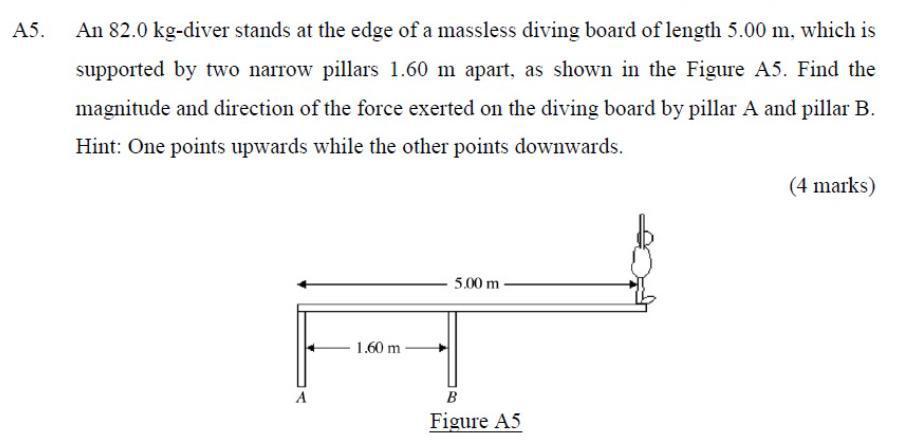 Solved A5. An 82.0 kg-diver stands at the edge of a massless | Chegg.com