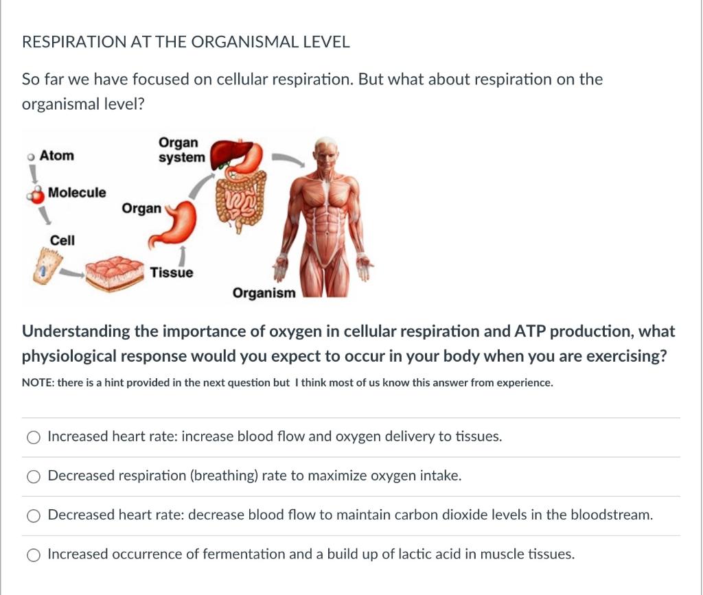 solved-respiration-at-the-tissue-level-so-far-we-have-chegg