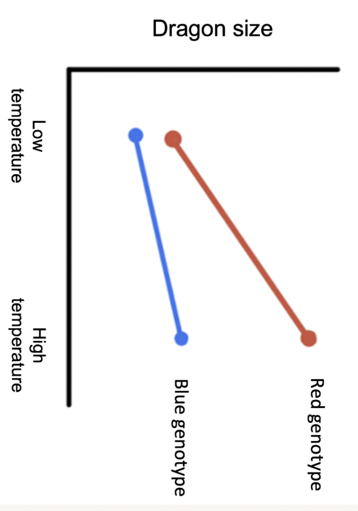 Dragon Temperature