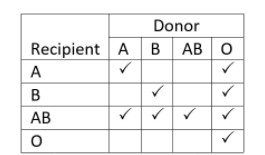 Solved TASK Back To Top LifeServe Blood Institute (LBI) Is A | Chegg.com