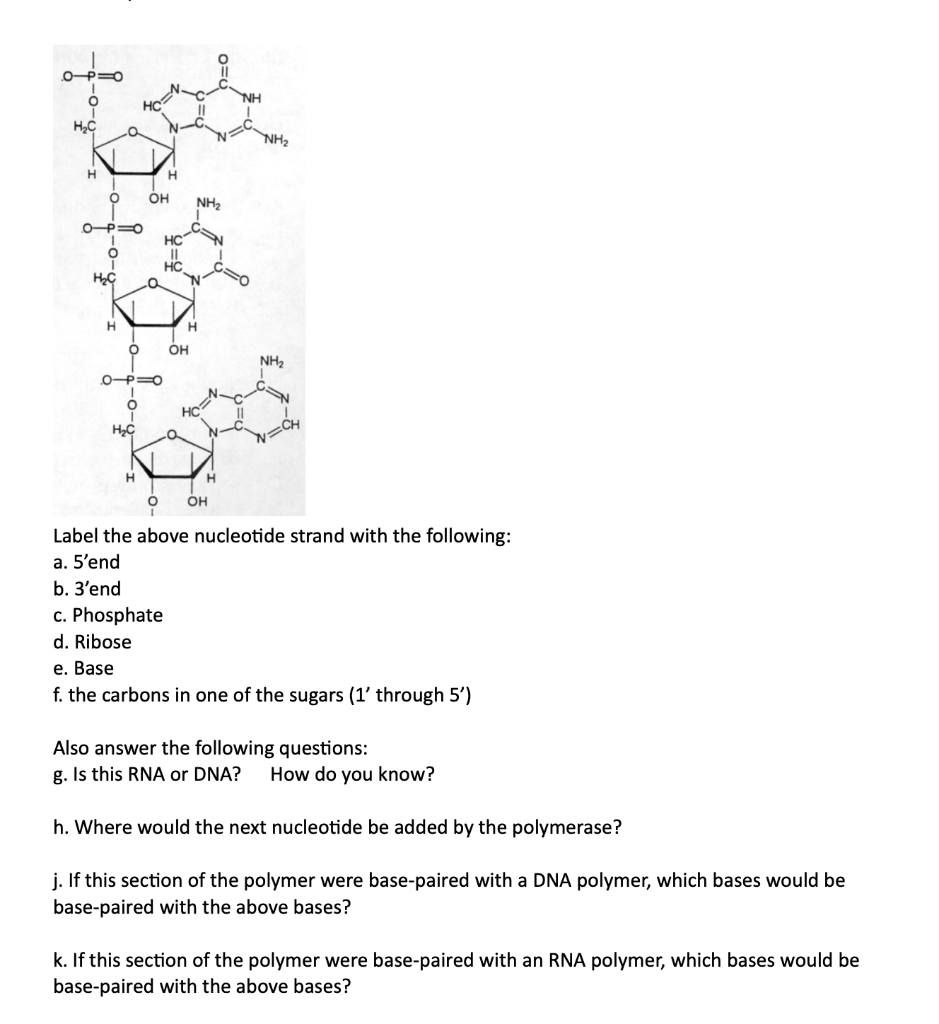 Solved ܒܘ O Ns Ii Hc O Nh2 H H Oh Nh2 Op O Hcn O Ii 1 Hc Chegg Com