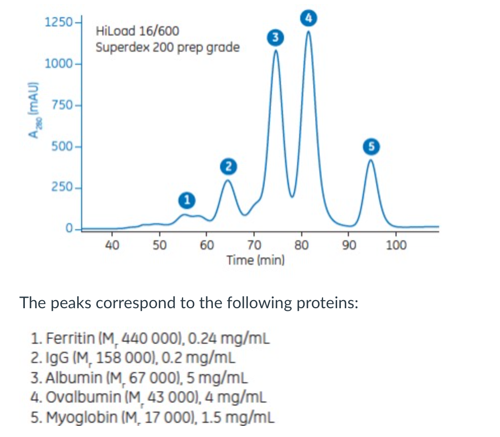 3. In size exclusion (gel filtration) chromatography,
